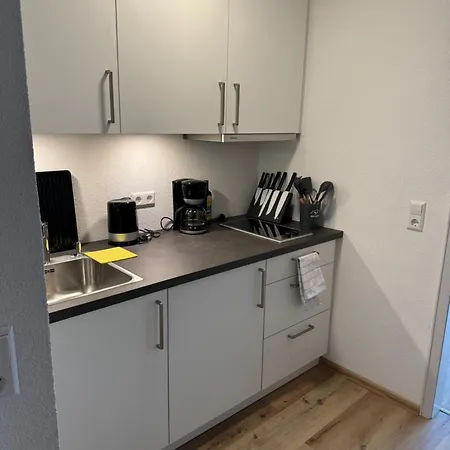 Lägenhet Domview Sankt Blasien