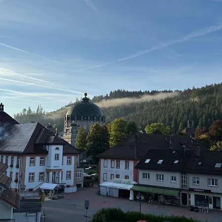 Domview Appartement St. Blasien