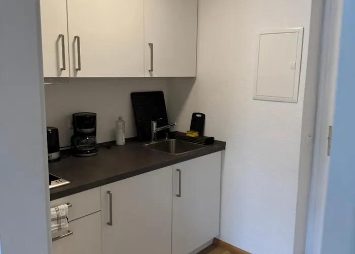 Apartament Domview *