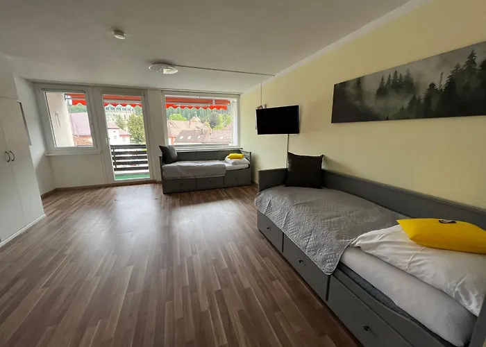 Domview Apartmán St. Blasien